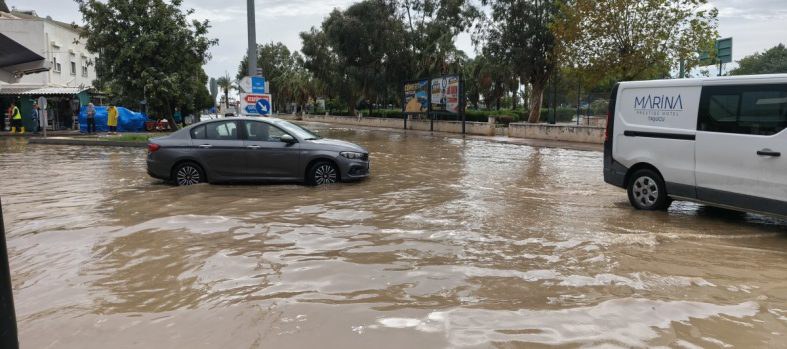 Mersin Sel