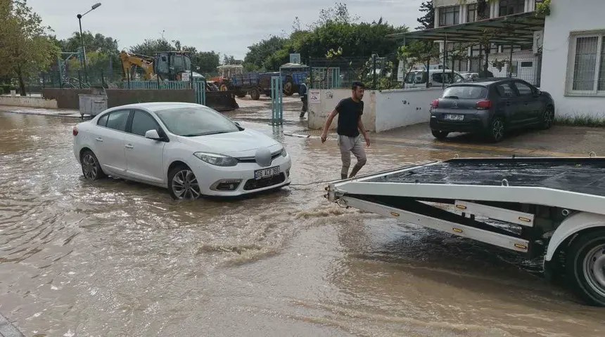 Mersin Sel